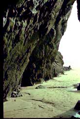 Gower3CliffArch.JPG